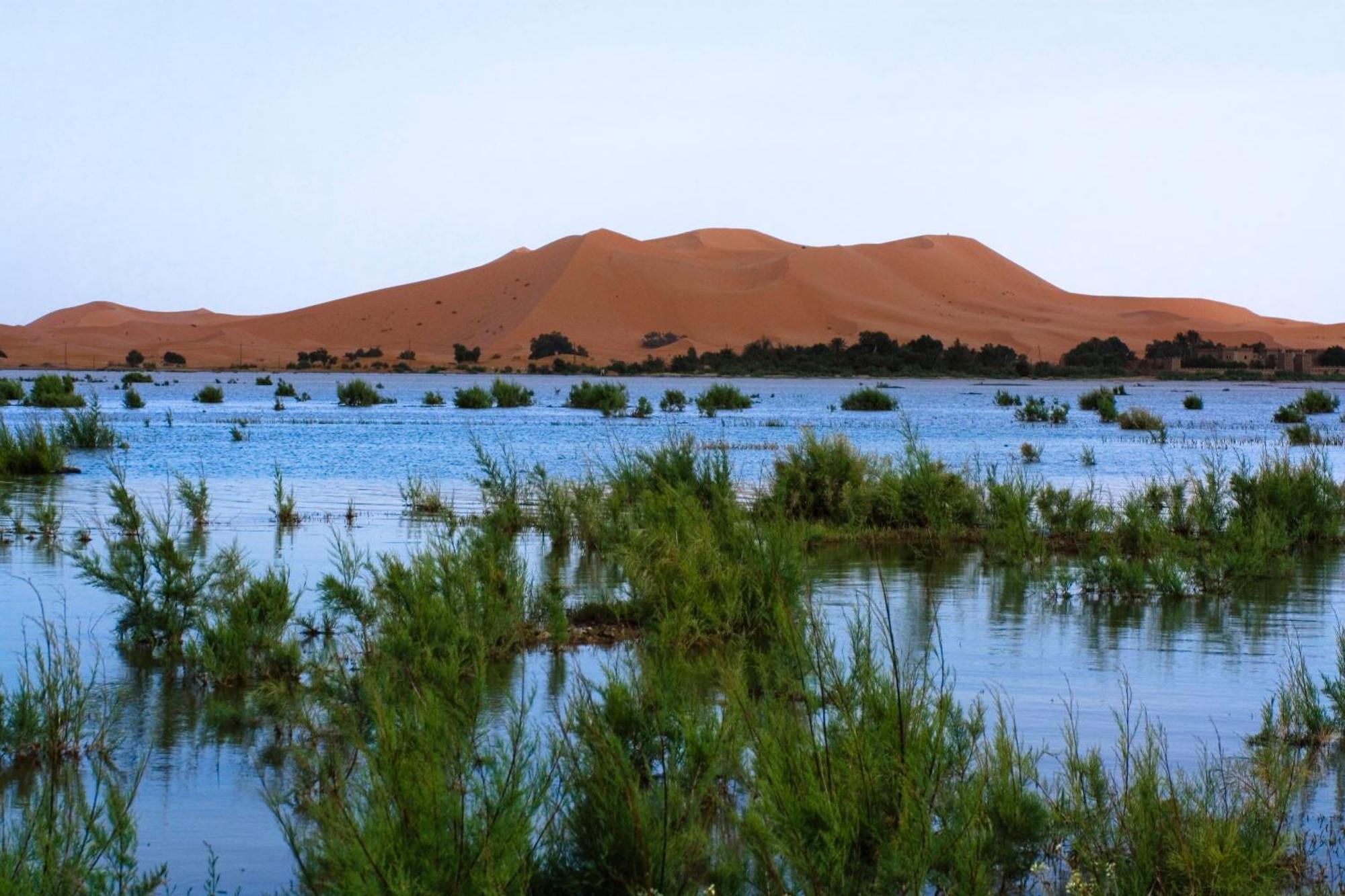 Auberge De Charme Les Dunes D'Or Merzouga Zewnętrze zdjęcie